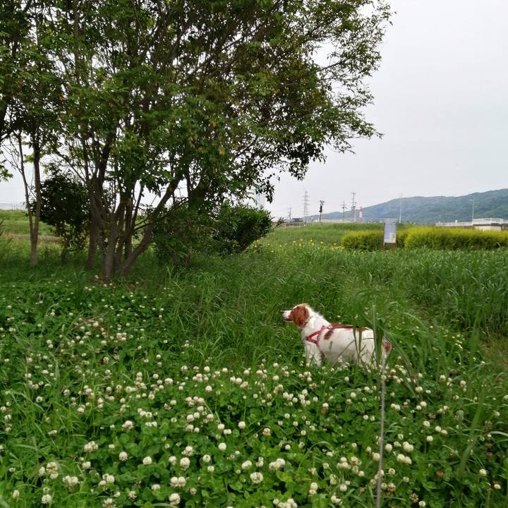 F054aeba 05ed 41d8 8460 d4d665043f93 1620128149322