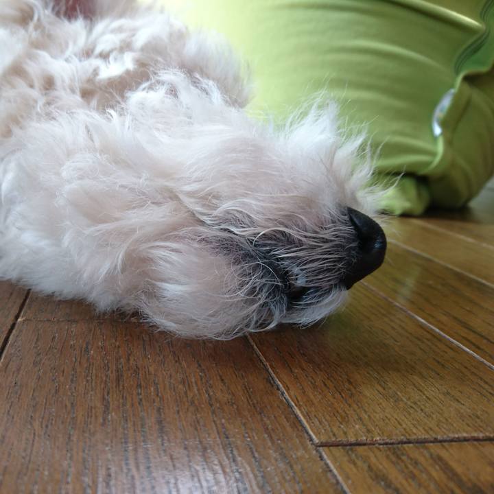 F054eb50 4b0a 4c12 be04 14c9048c7e8e 1516504596601