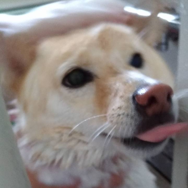 F0553a60 124e 47b6 a2ac 91dcb5168dd8 1596331054083