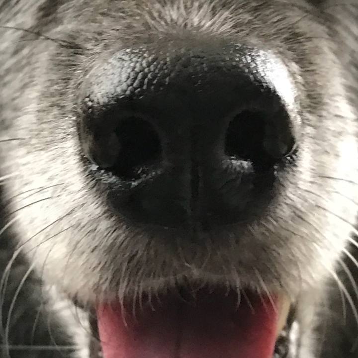 F0557a56 bcce 4fc4 a463 ba552e5b518c 1523778088187