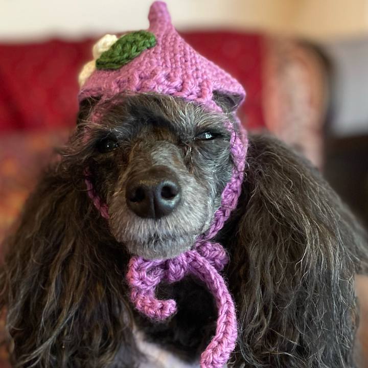 F055baee dffe 4f6e 9b24 55626e1ea5f8 1700541671810