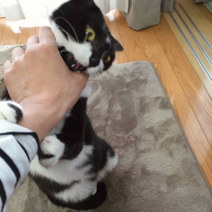 F055e0b6 7e56 4df9 8168 654d2f8fa27e 1767230597917