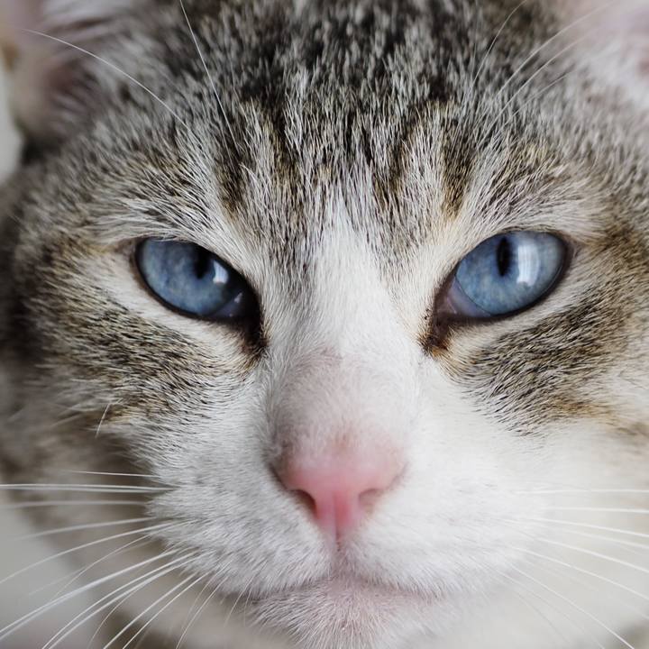 F055e7d4 bda6 4c52 9850 d3a87c779877 1650075479468