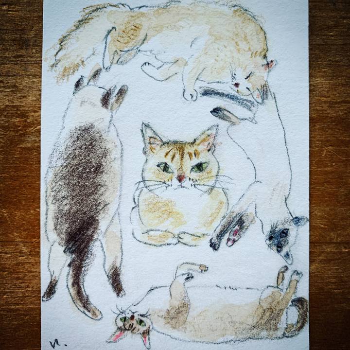 F055ead2 3cad 4c0c 9944 88df46af69df 1611277986693