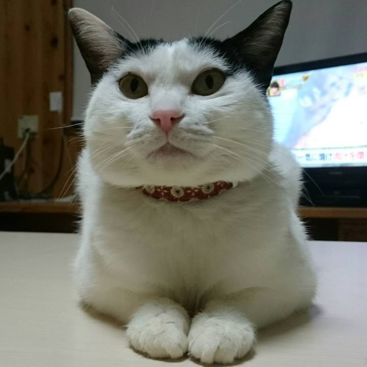 F05616b6 a7ef 436a 99ef 47e9e8d6643c 1514815049152