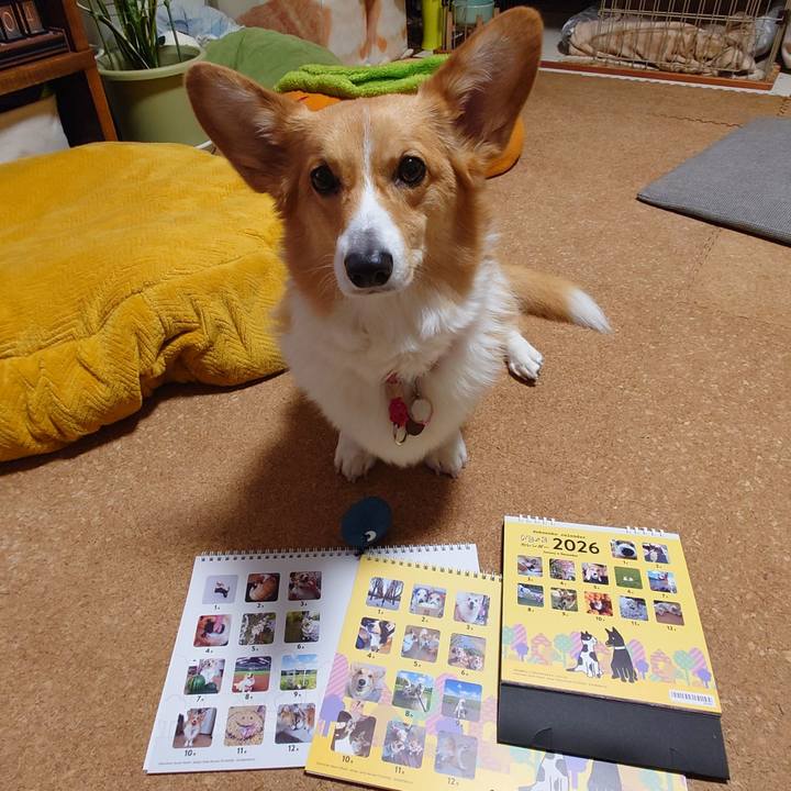 F05616f8 de2b 4c71 8488 7407477faafb 1765799704633