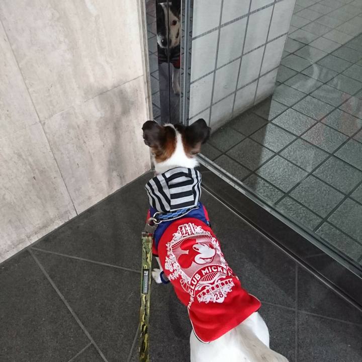 F0564524 83f1 4b9c acfb 49e9374bb15e 1515890243036