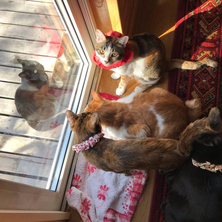 F0566bac a600 442d 9ea5 e67eef666887 1620942818017