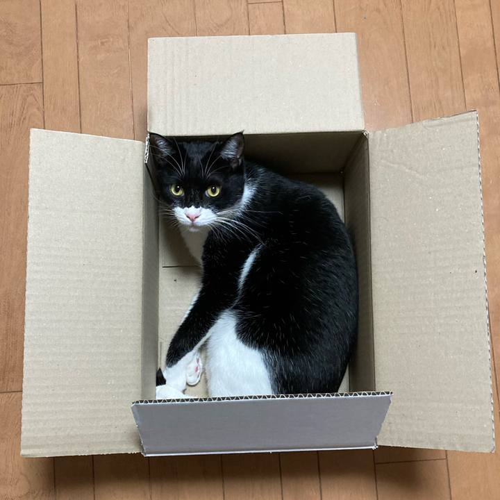 F0568073 4fd2 4d20 9f32 edd726ced300 1606367340534