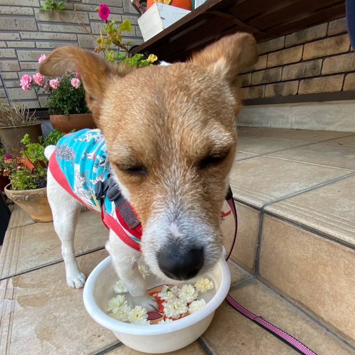 F056834d cd8b 4a69 8dbc 150ca2226c5e 1588469005899