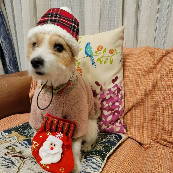 F0569a9c 1ab2 40a3 816a 5b879b9cb30d 1703418348656