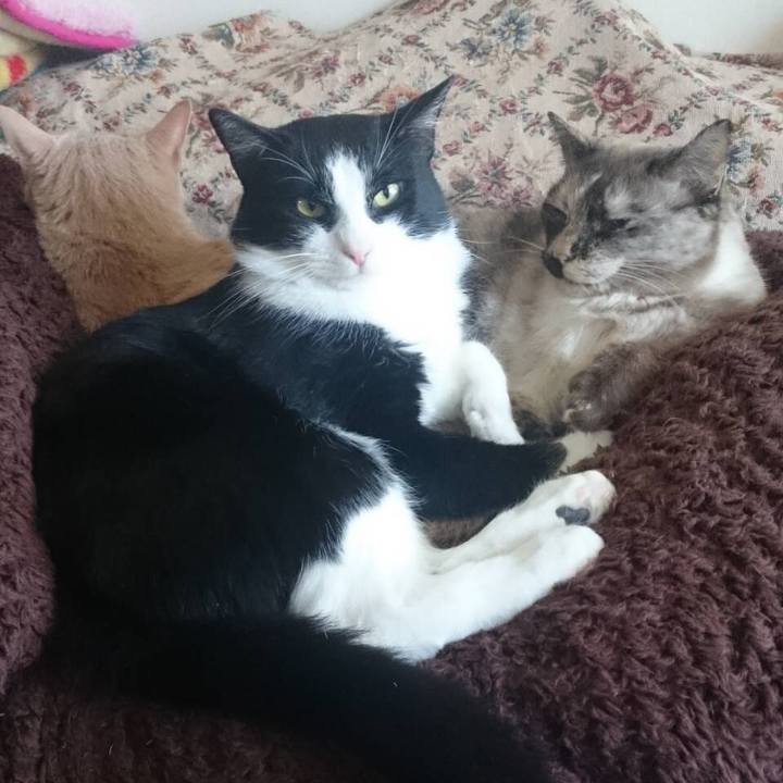 F05722c6 4f47 4707 9815 dd3173f35ae3 1563667851461