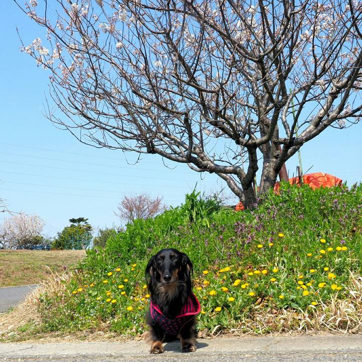 F0575fd8 5a87 44b3 ad21 22d8a1466d3d 1552623475199