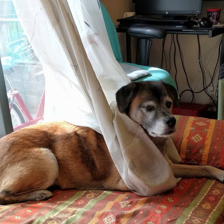 F0576fb8 2f97 4292 b90a 9290998a2a7d 1539655206648