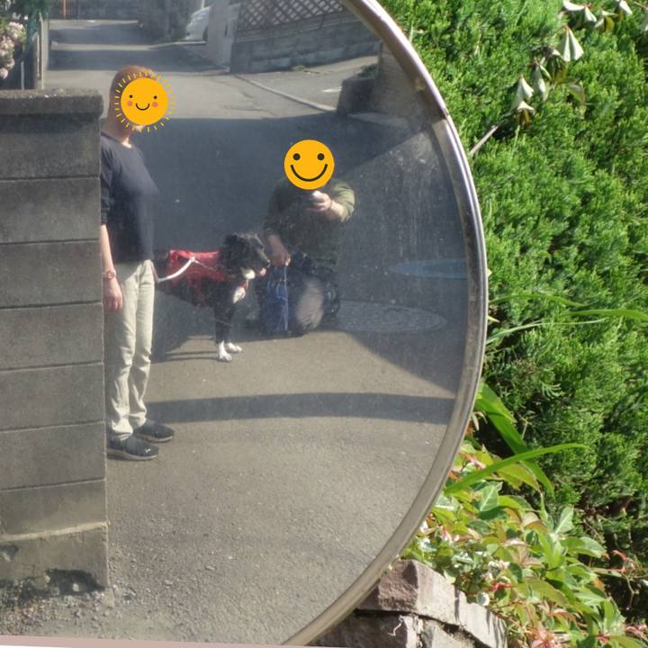 F057bfc3 9dd9 4c88 ba65 6996133afc2d 1683764542304