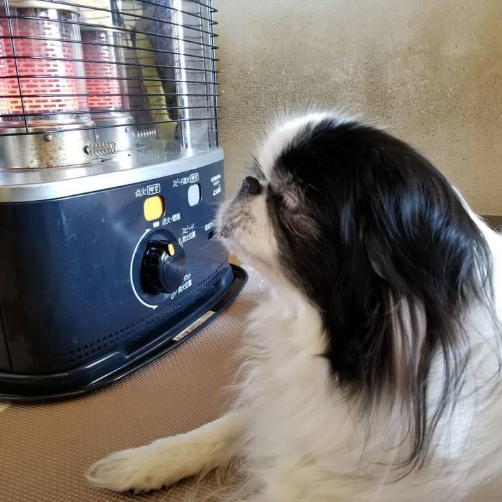 F057d481 347f 4a94 8173 c51f4da7c36f 1517825822557