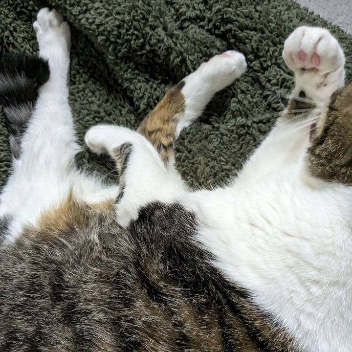 F05847f0 73f9 4cc3 986d 131b5dc189f8 1697336540774