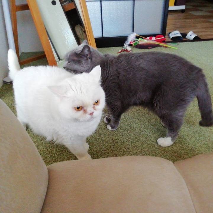 F058cd1a eb35 47f7 90b7 886623091ca9 1748750452125