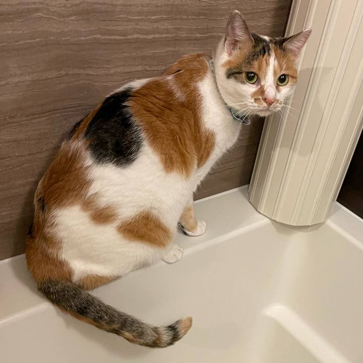 F058dc3d ed07 46d3 8d09 04ba4a138e00 1697553901107