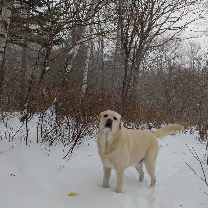 F058decc 9c7e 41eb bd5e 385bbeb00a35 1670991004259