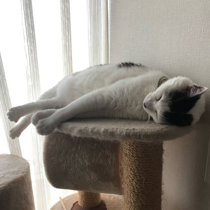 F058ff1e 1665 4587 99af 810a2b55c37e 1561178739373