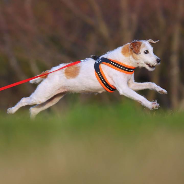 F05924e6 96c9 4f68 a75f 54b4d63063ac 1773834649808