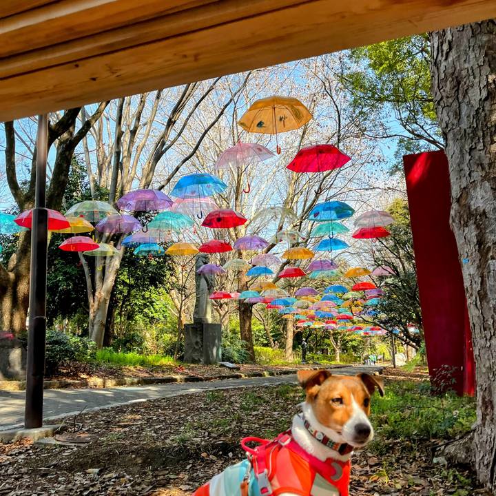 F059342f 9805 43ce 8ad9 290c639ea530 1742620049327