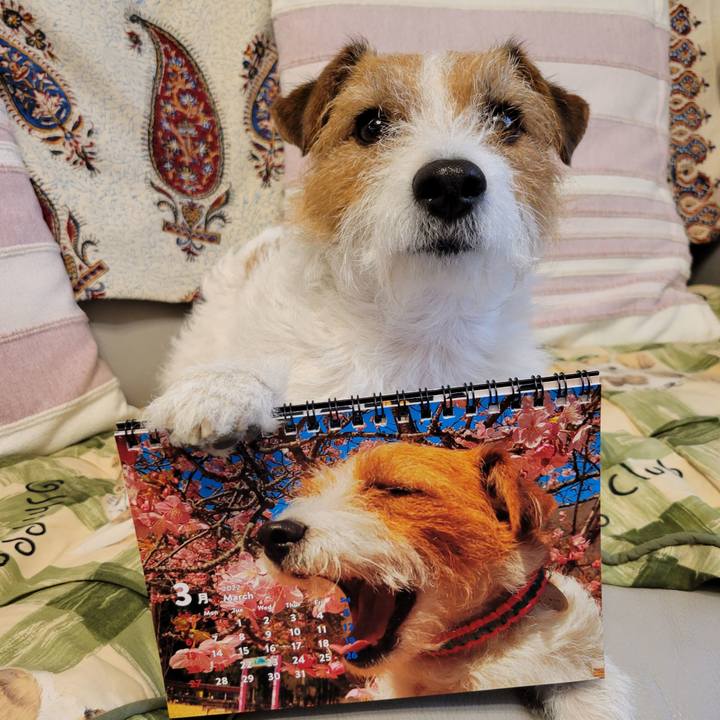 F0593581 0780 4c7e adb4 0dc8692f799c 1646699452524