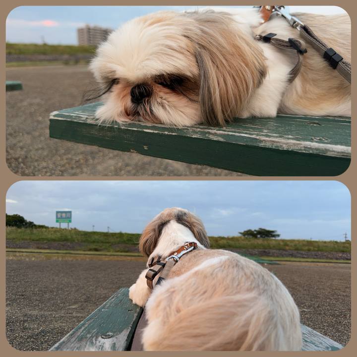 F05945d2 19cf 4be5 b0c0 74f717de86ee 1722851630157