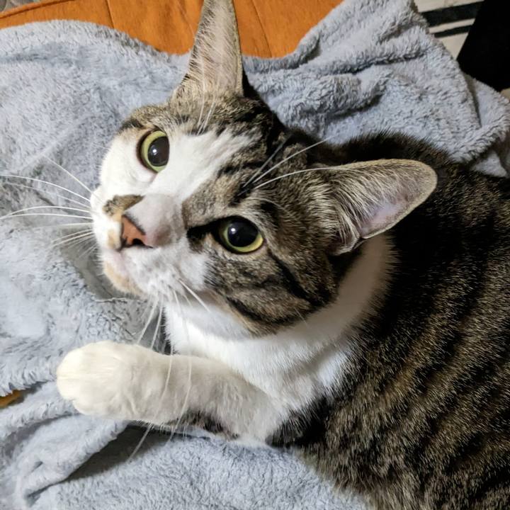 F05983a0 df44 4a7e 951d c3a89a805802 1671289982940