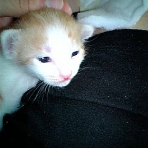 F059d7fa 1dd9 458a b39f a04efed453ca 1665240926064