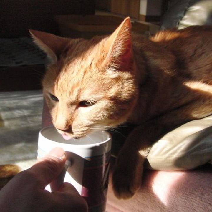 F05a013d 2c0c 4e45 9a77 8801f6a0b24f 1606438302293