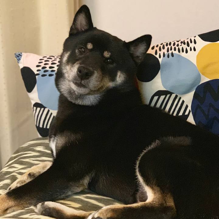 F05a27e9 2242 4d5b a127 ceab44d17953 1567681383392