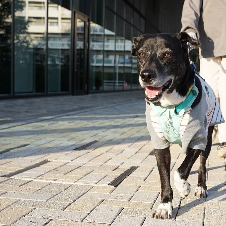 F05a4e8c ec51 40aa be55 53faabbdf25e 1771117526603