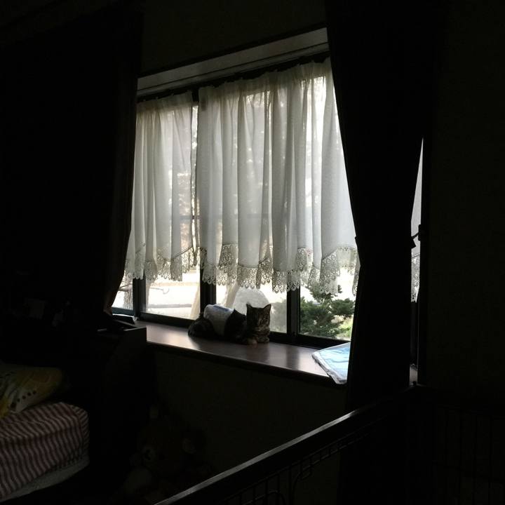 F05a4fc6 b16f 4b80 976b 8a36086177e7 1534589409995