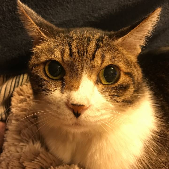 F05acb5a 0b78 47e0 96bd b75f7c09ab79 1521133506486