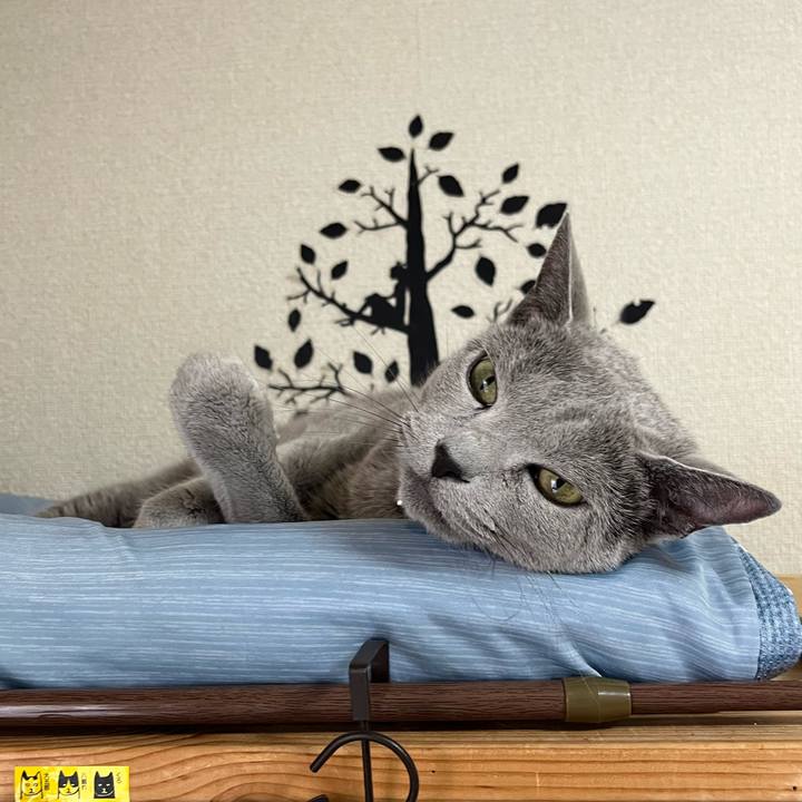 F05acf53 fcd3 4b46 8123 991fb3a5bb48 1720313195500