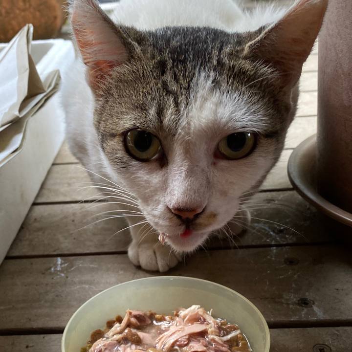 F05ad9f1 87bd 4ca5 852f cd92250e2b28 1599003813185