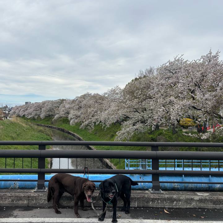 F05aeaf4 0430 43f1 a58e 8833c92ceb6a 1775651318910