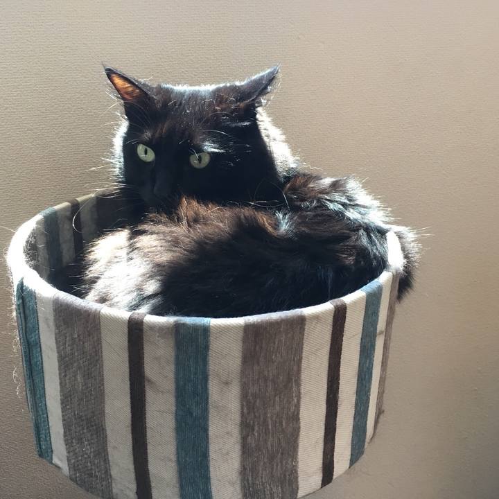 F05af925 83f3 44f8 bea6 18b727d467cc 1531270955393