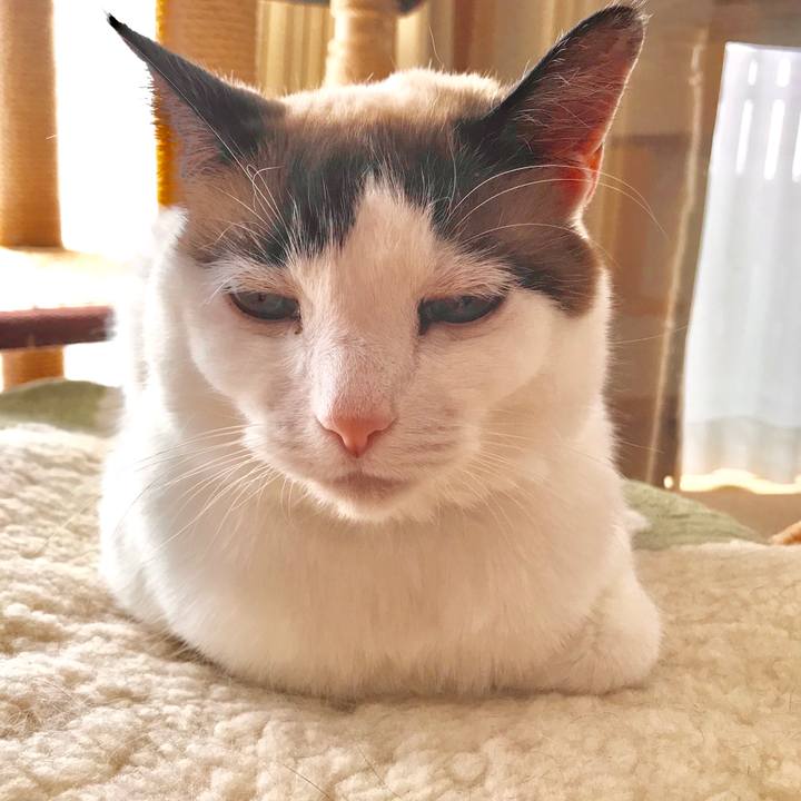 F05b2803 a945 446d a824 3b211f5b4e65 1551429052680