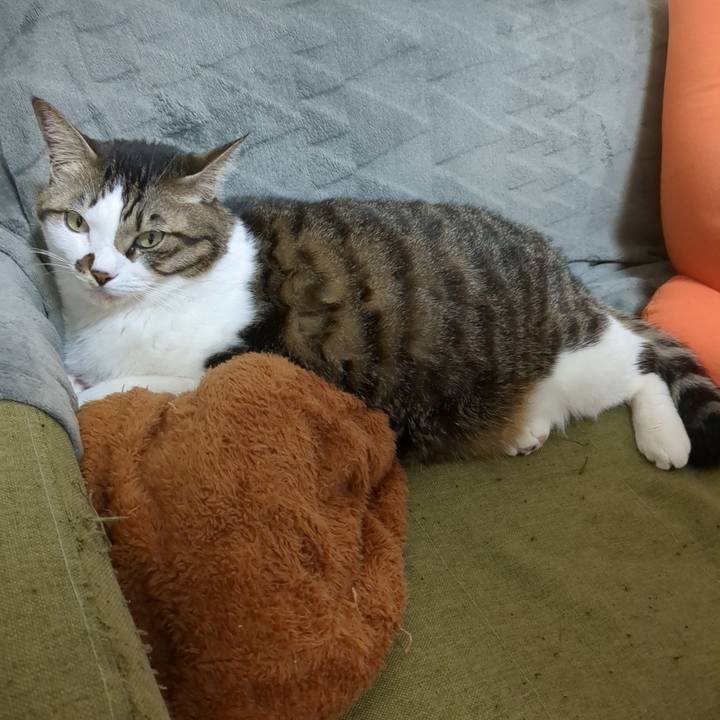 F05b6042 b1f1 46da 9c5d ded6cfc7079a 1737077772143