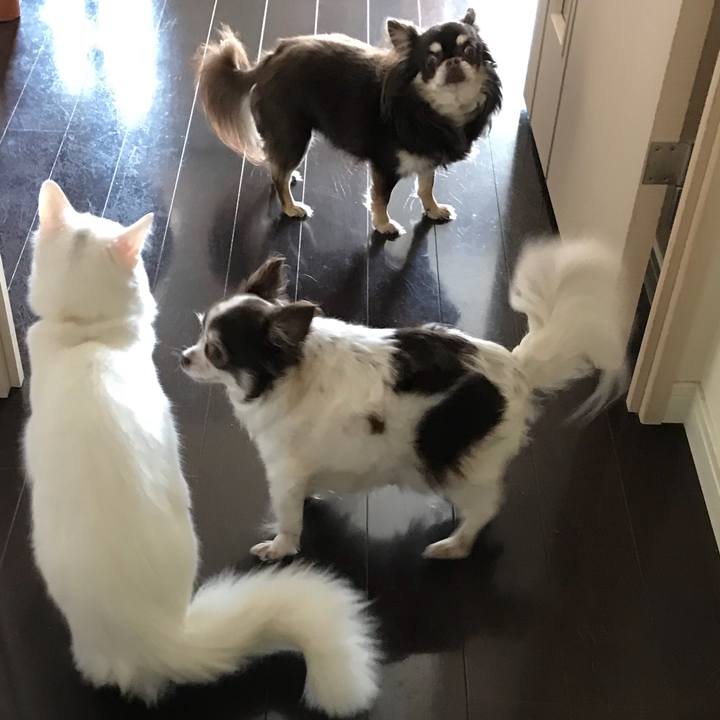 F05b6c5a d4fb 40e9 81f1 ea54b2894b14 1519463840822