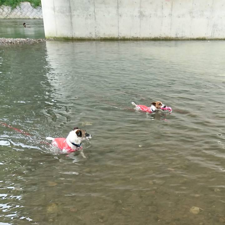 F05b9129 c634 466a 9a14 2238851034a1 1600244371840