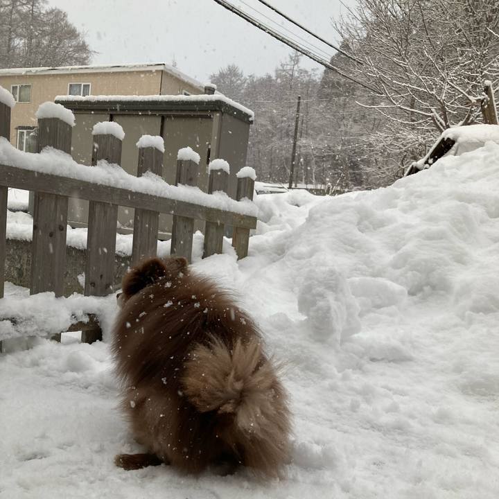 F05ba2c4 24a1 4e15 b2a0 f4f2758ac8b6 1672554022585