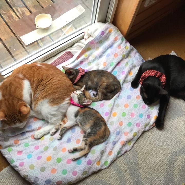 F05bfca6 c420 4dd4 8f89 67fd81dfb0d1 1598743483326