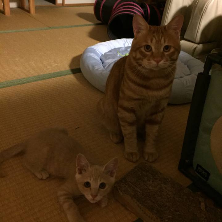 F05c0822 0b31 4a14 81f4 a9d193f666cc 1533214274457