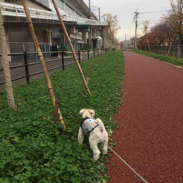 F05c24a6 4540 496f b697 a36ac2f4e429 1510997288167