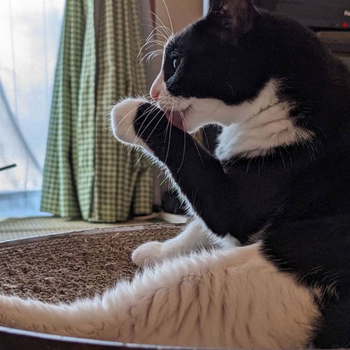 F05c2fe2 8d54 4ee3 b0b1 4f2179b959a6 1694576763571