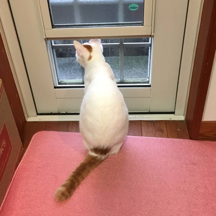 F05c32fe 3b51 4e99 8e0c b3ec7ef89d67 1510116866547